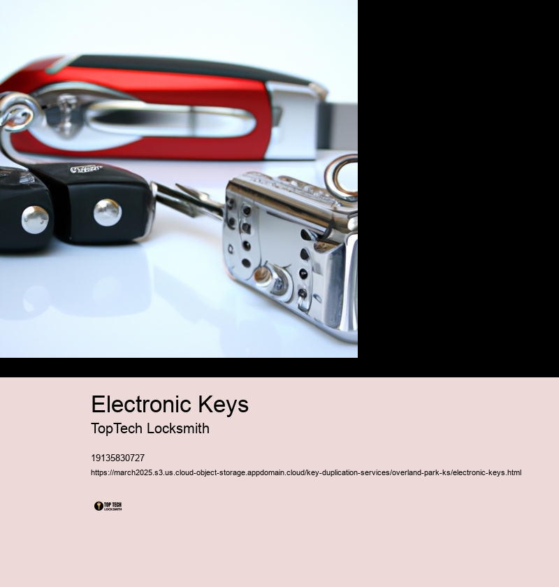 Electronic Keys