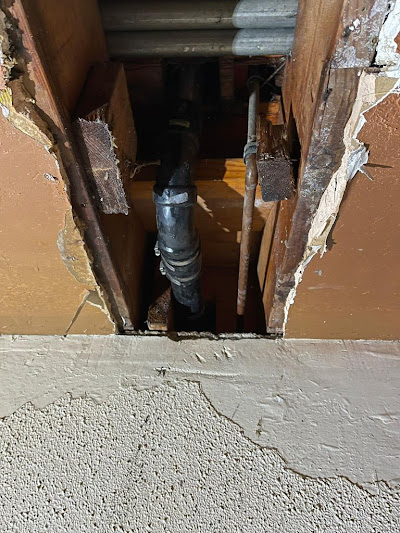 DIY vs Professional Inspection and Tuneup
