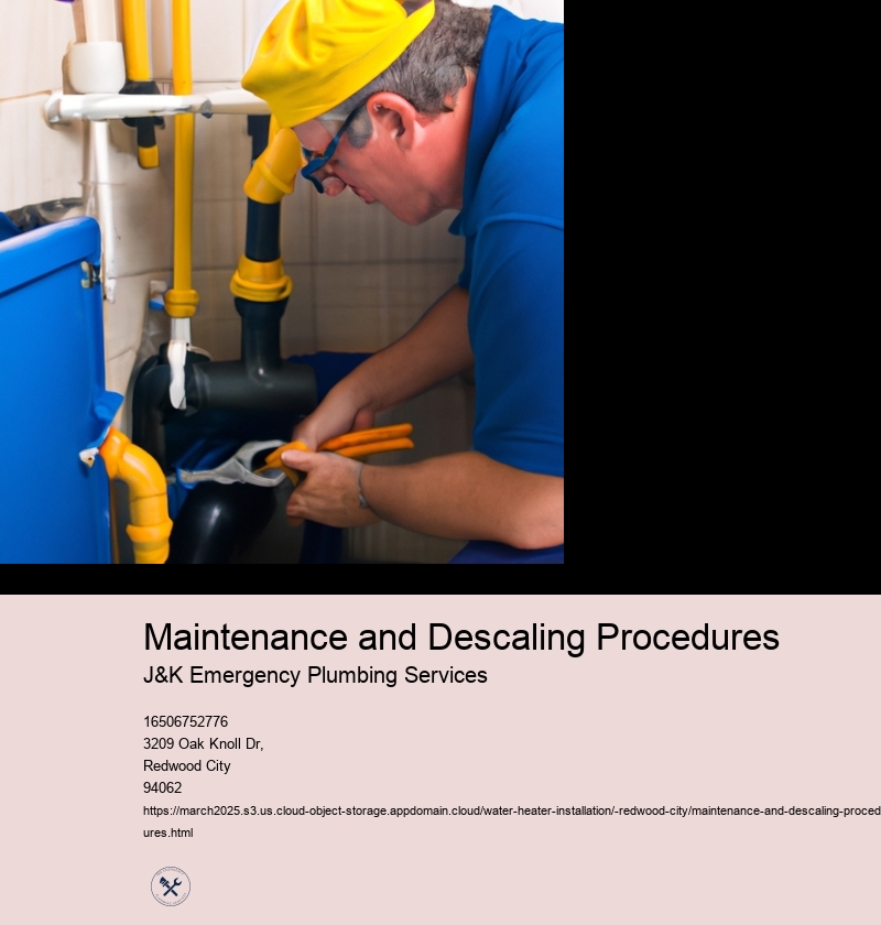 Maintenance and Descaling Procedures